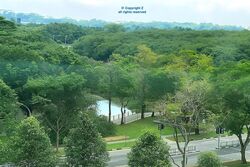 Evergreen Park (D19), Apartment #502213751